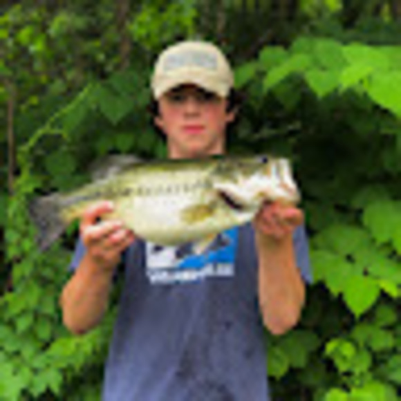 Meet your Posher, Ben - Picture 1 of 1